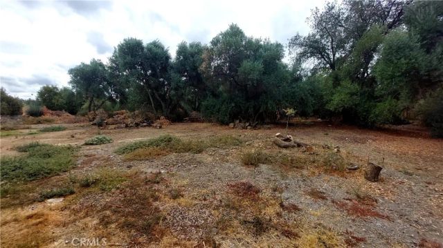 1547 Blackburn, Corning, CA 96021