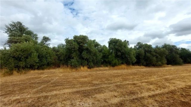 1547 Blackburn, Corning, CA 96021