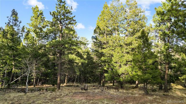 68 Yale Place, Woodland Park, CO 80863