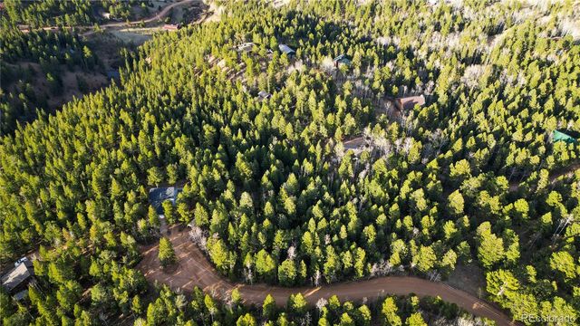68 Yale Place, Woodland Park, CO 80863