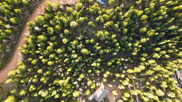 68 Yale Place, Woodland Park, CO 80863
