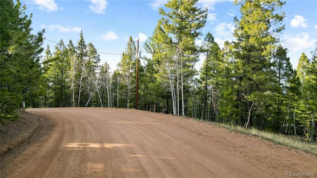 68 Yale Place, Woodland Park, CO 80863
