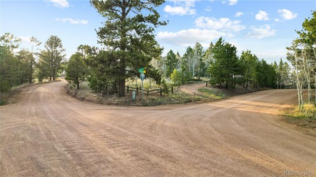 68 Yale Place, Woodland Park, CO 80863