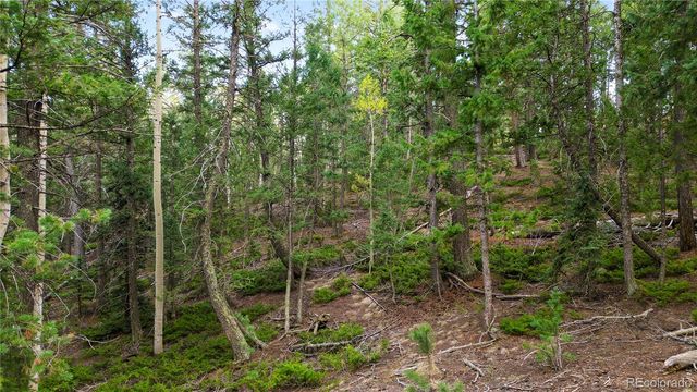 68 Yale Place, Woodland Park, CO 80863
