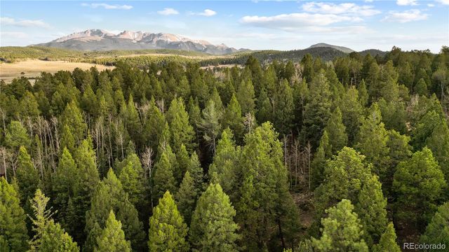 68 Yale Place, Woodland Park, CO 80863