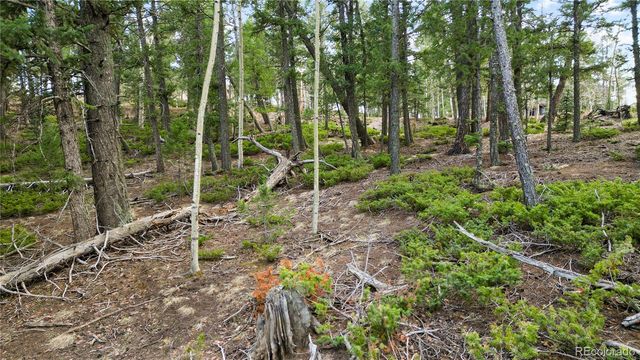 68 Yale Place, Woodland Park, CO 80863