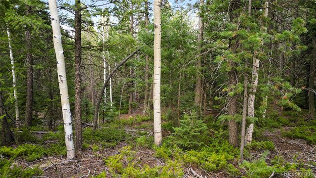 68 Yale Place, Woodland Park, CO 80863