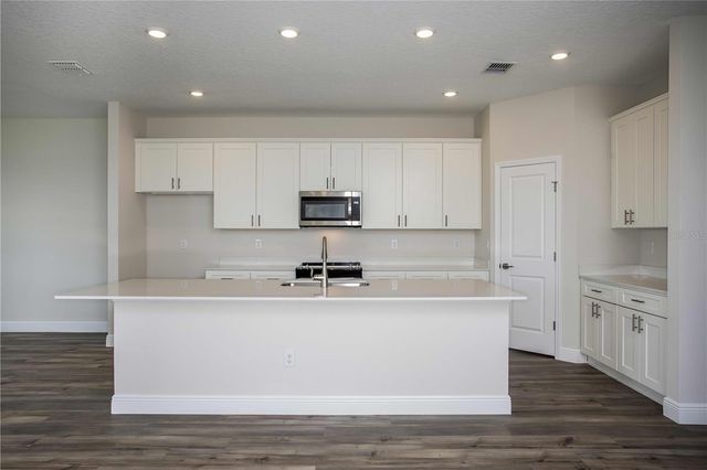 33496 HAMMOCK BEACH WAY, Wesley Chapel, FL 33545