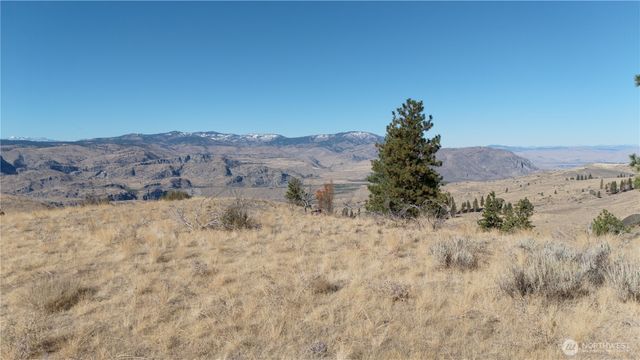 54 Wolf Holler Rd, Waterville, WA 98858