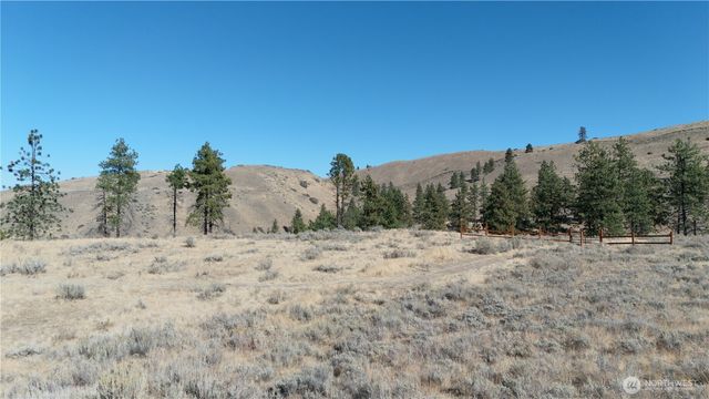 54 Wolf Holler Rd, Waterville, WA 98858