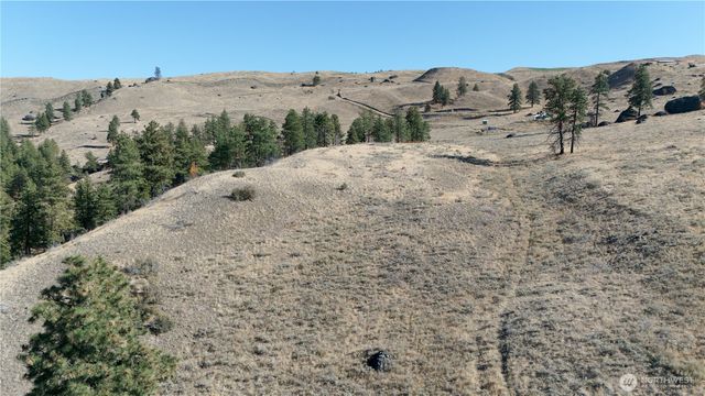 54 Wolf Holler Rd, Waterville, WA 98858