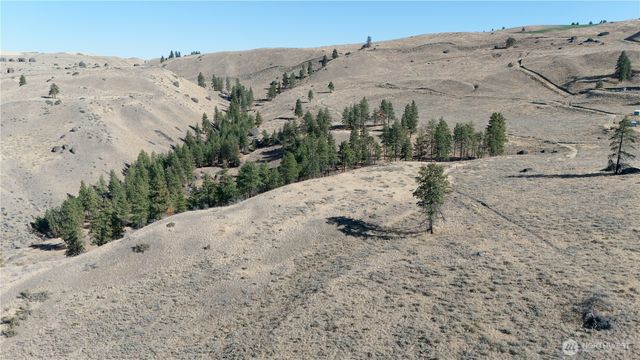 54 Wolf Holler Rd, Waterville, WA 98858