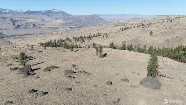 54 Wolf Holler Rd, Waterville, WA 98858