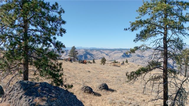 54 Wolf Holler Rd, Waterville, WA 98858