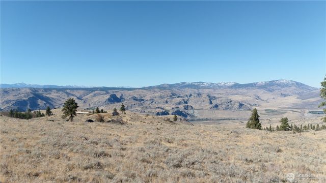 54 Wolf Holler Rd, Waterville, WA 98858