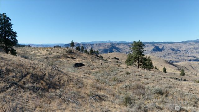 54 Wolf Holler Rd, Waterville, WA 98858