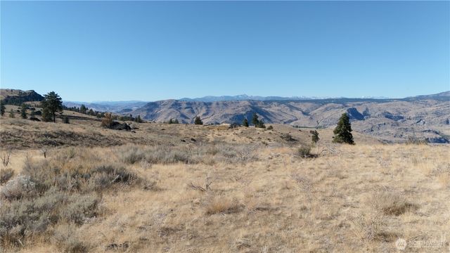 54 Wolf Holler Rd, Waterville, WA 98858