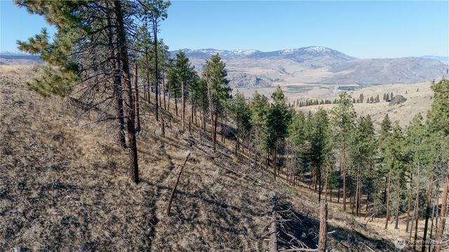 54 Wolf Holler Rd, Waterville, WA 98858