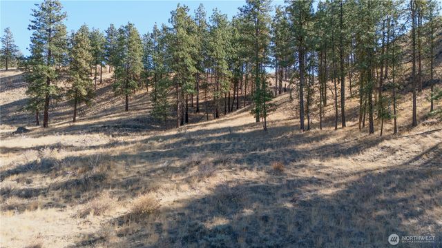 54 Wolf Holler Rd, Waterville, WA 98858