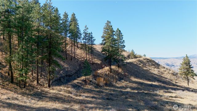 54 Wolf Holler Rd, Waterville, WA 98858