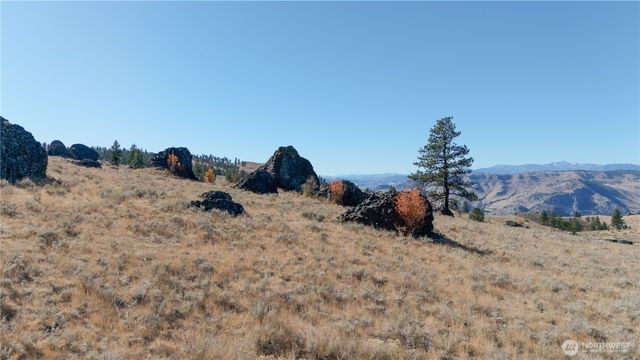 54 Wolf Holler Rd, Waterville, WA 98858