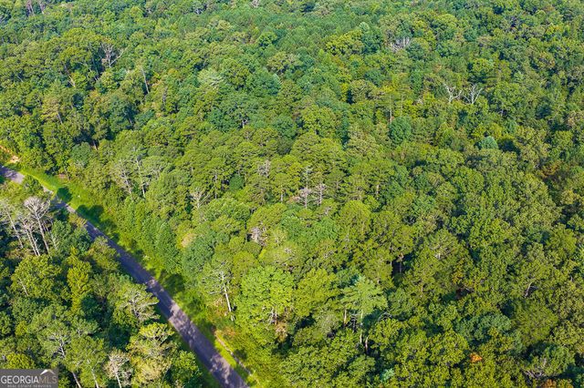 186 Pinnacle Drive, Ellijay, GA 30540