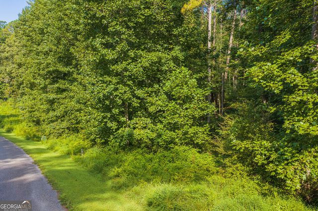 186 Pinnacle Drive, Ellijay, GA 30540