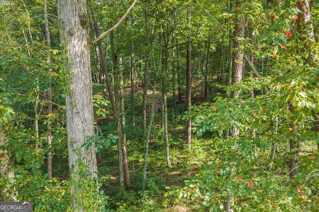 186 Pinnacle Drive, Ellijay, GA 30540