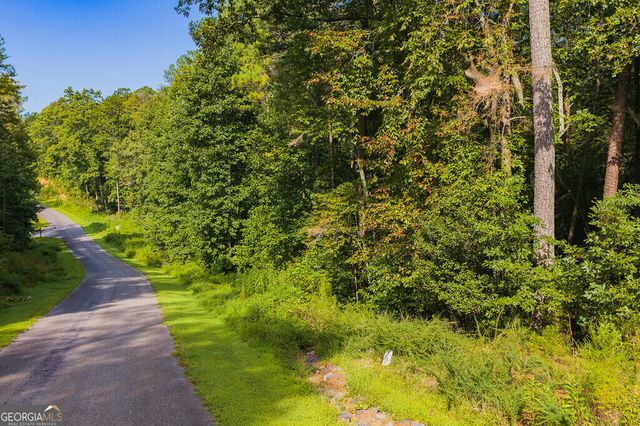 186 Pinnacle Drive, Ellijay, GA 30540