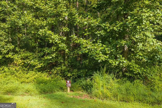 186 Pinnacle Drive, Ellijay, GA 30540