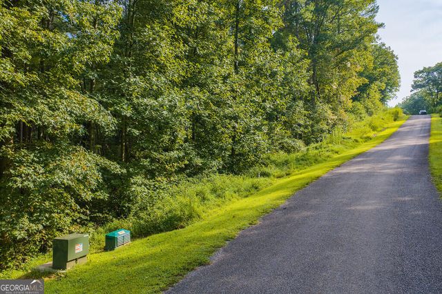 186 Pinnacle Drive, Ellijay, GA 30540