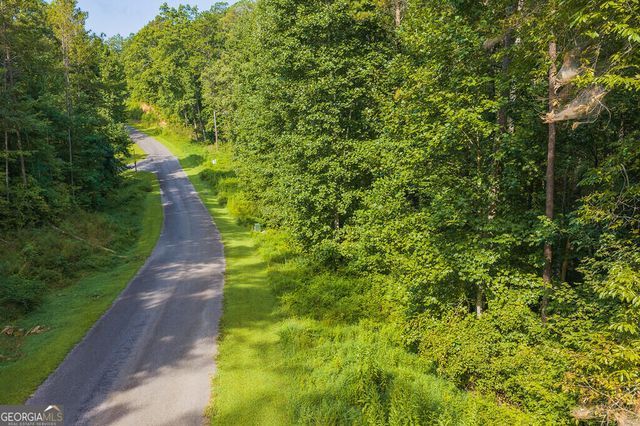 186 Pinnacle Drive, Ellijay, GA 30540