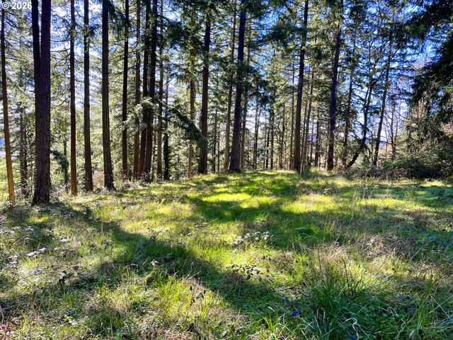 29358 S SALO Rd, Mulino, OR 97042