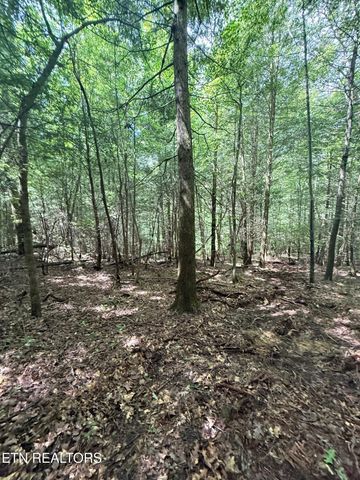 0 Acorn Lane, Jamestown, TN 38556