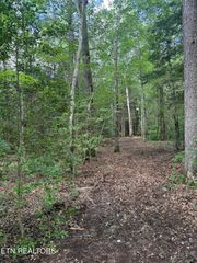 0 Acorn Lane, Jamestown, TN 38556