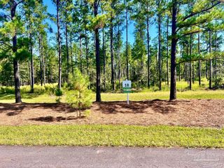 Lot 18 Pine Preserve Ln, North Pace, FL 32571