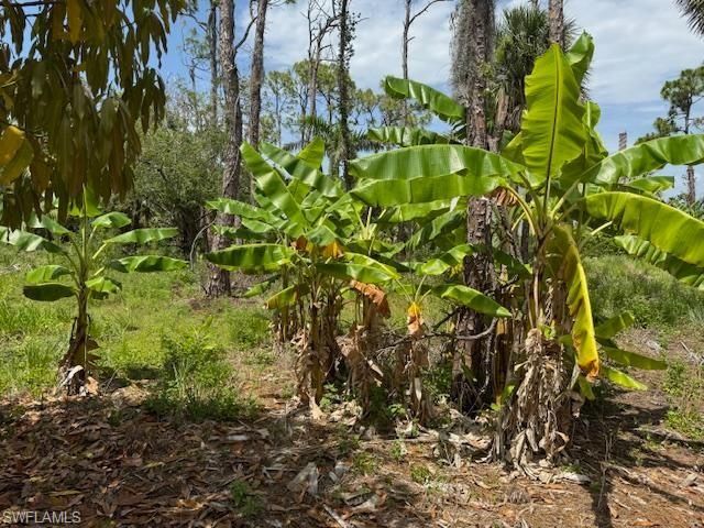 5431 Gamebird LN, Bokeelia, FL 33922