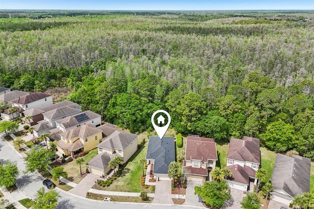 16066 BELLA WOODS DRIVE, Tampa, FL 33647