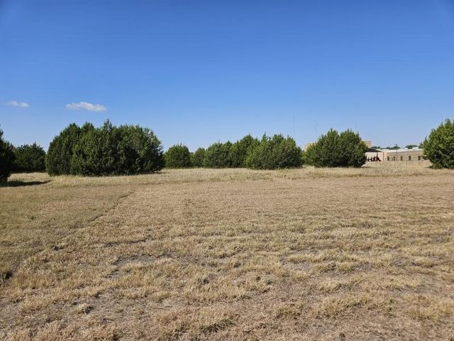 1000 S Joe Wilson Road, Cedar Hill, TX 75104
