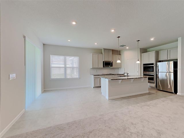 221 SIESTA VISTA COURT, Davenport, FL 33896