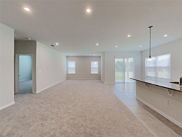 221 SIESTA VISTA COURT, Davenport, FL 33896