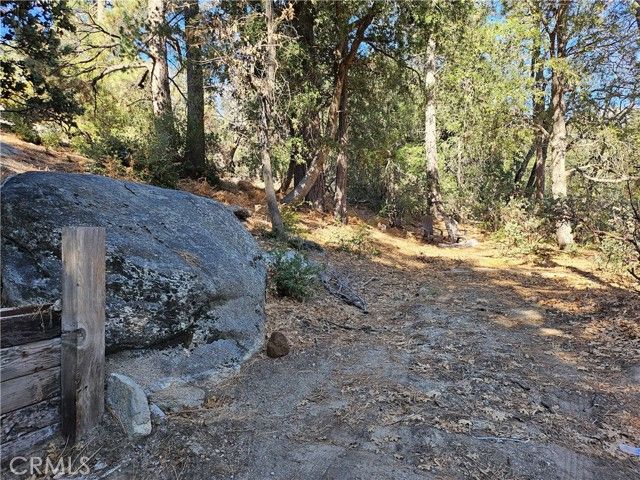 53150 Mountain View, Idyllwild, CA 92549