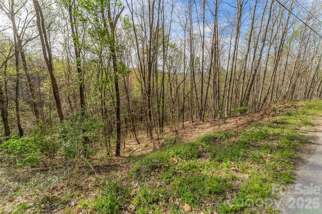 0 High Peak Mountain Road, Valdese, NC 28690
