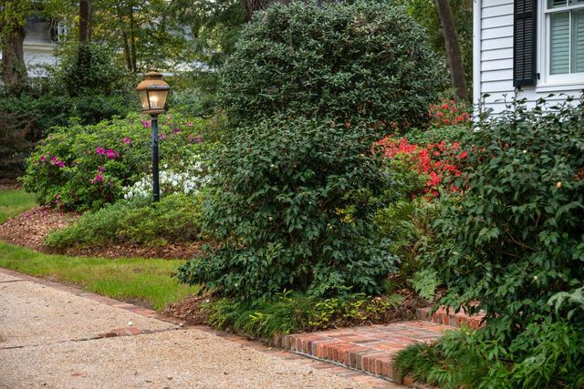 500 Central Avenue, Summerville, SC 29483