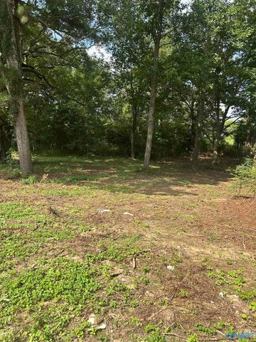741 Haynes Road NE, Arab, AL 35016