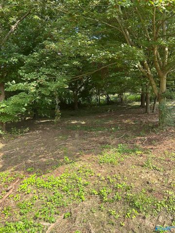 741 Haynes Road NE, Arab, AL 35016