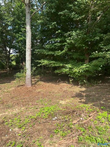 741 Haynes Road NE, Arab, AL 35016