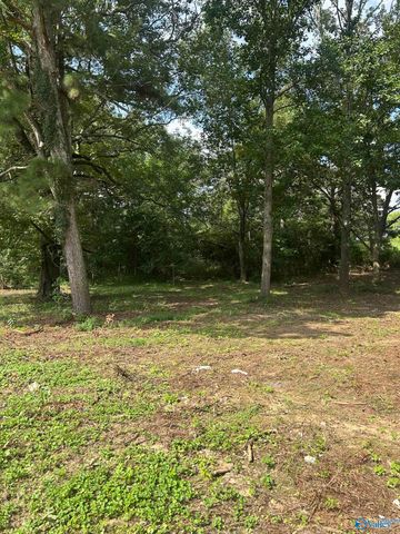 741 Haynes Road NE, Arab, AL 35016