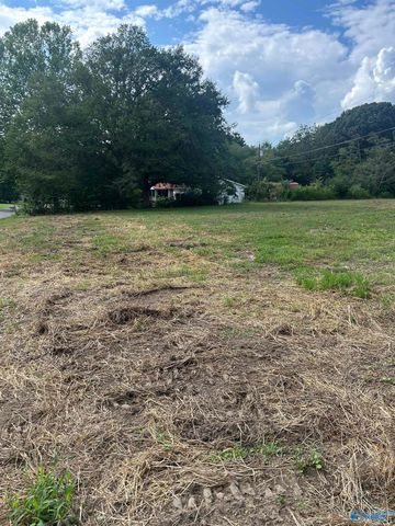 741 Haynes Road NE, Arab, AL 35016