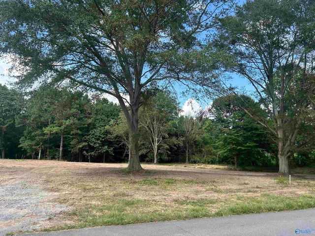 741 Haynes Road NE, Arab, AL 35016